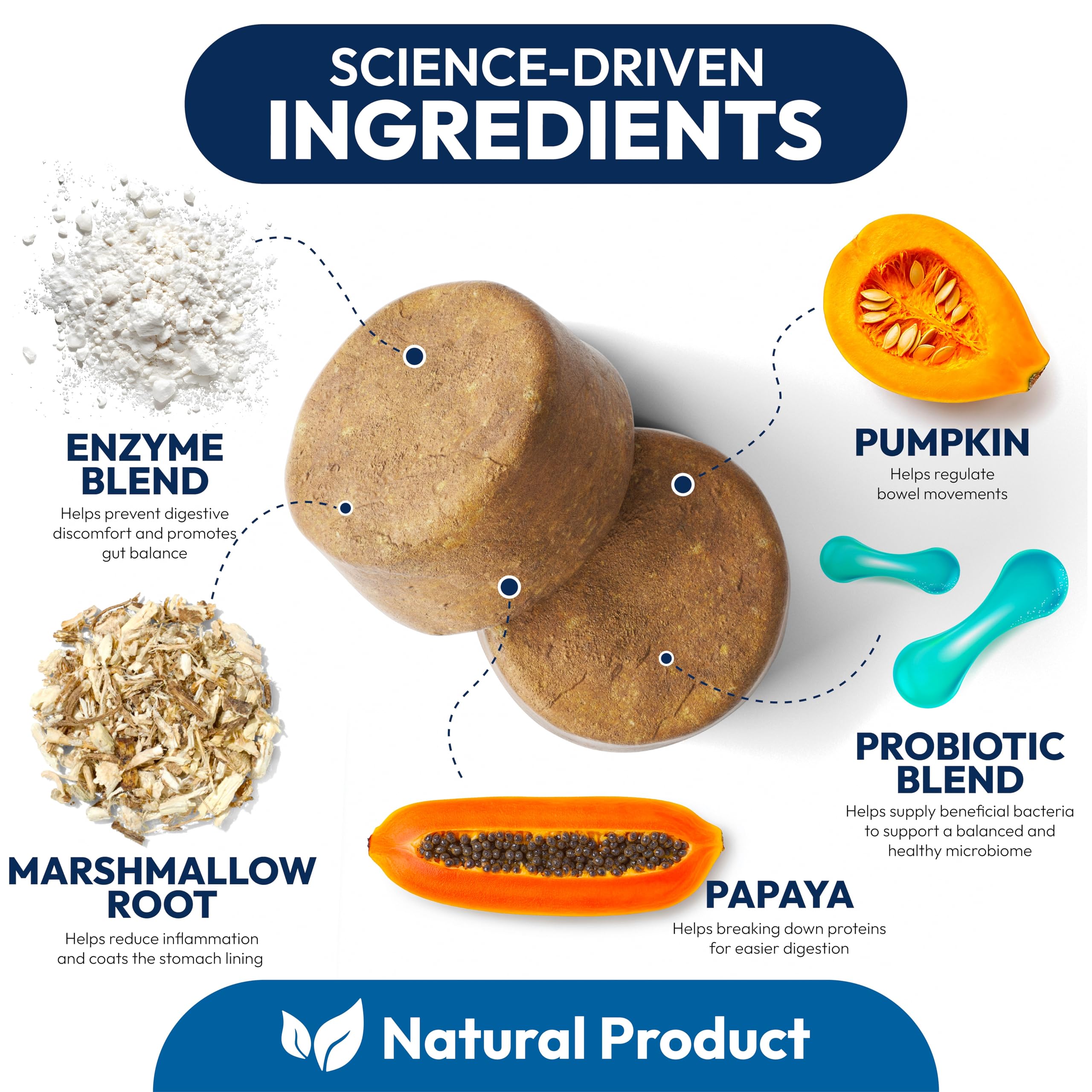 Probiotics for Dogs - 170 Dog Probiotics Chews - Digestive Enzymes & Prebiotics - Support Gut Health, Diarrhea, Gas & Constipation Relief - Itchy Skin, Allergies, Yeast Balance - Advanced Supplement Petsology Au supplements