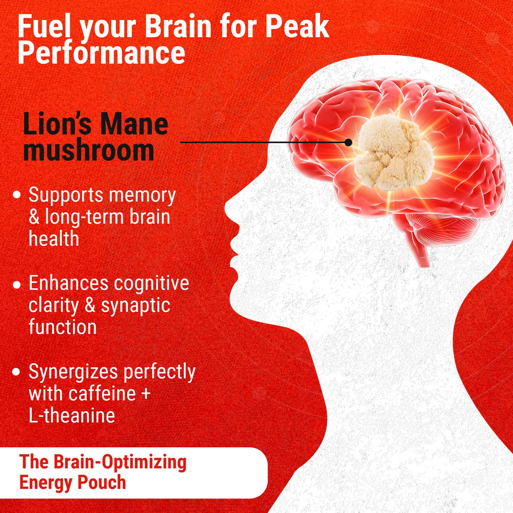 Cannadips - Brain Fuel Variety Pack - Nootropic Caffeine Pouches - 50mg Lion's Mane, 100mg Caffeine, 50mg L-Theanine, No Sugar - Clean Energy Brain Fuel for Cognitive Performance, Made in USA (5-PACK) Cannadips Au supplements