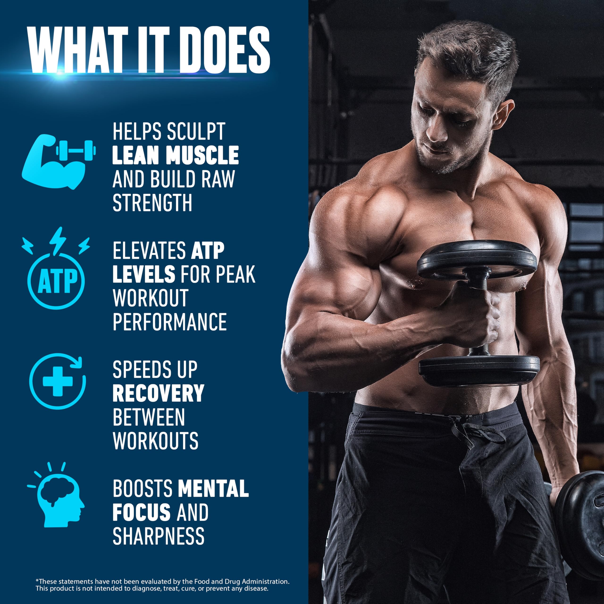 Creatine Monohydrate Powder 500g – Supports Muscle Growth, Strength & Cognitive Function*, 5g per Serv - 100 Servings, Pure Micronized Creatine for Enhanced Performance, Unflavored, 17.9 oz SCHIFFER HEALTH Au supplements