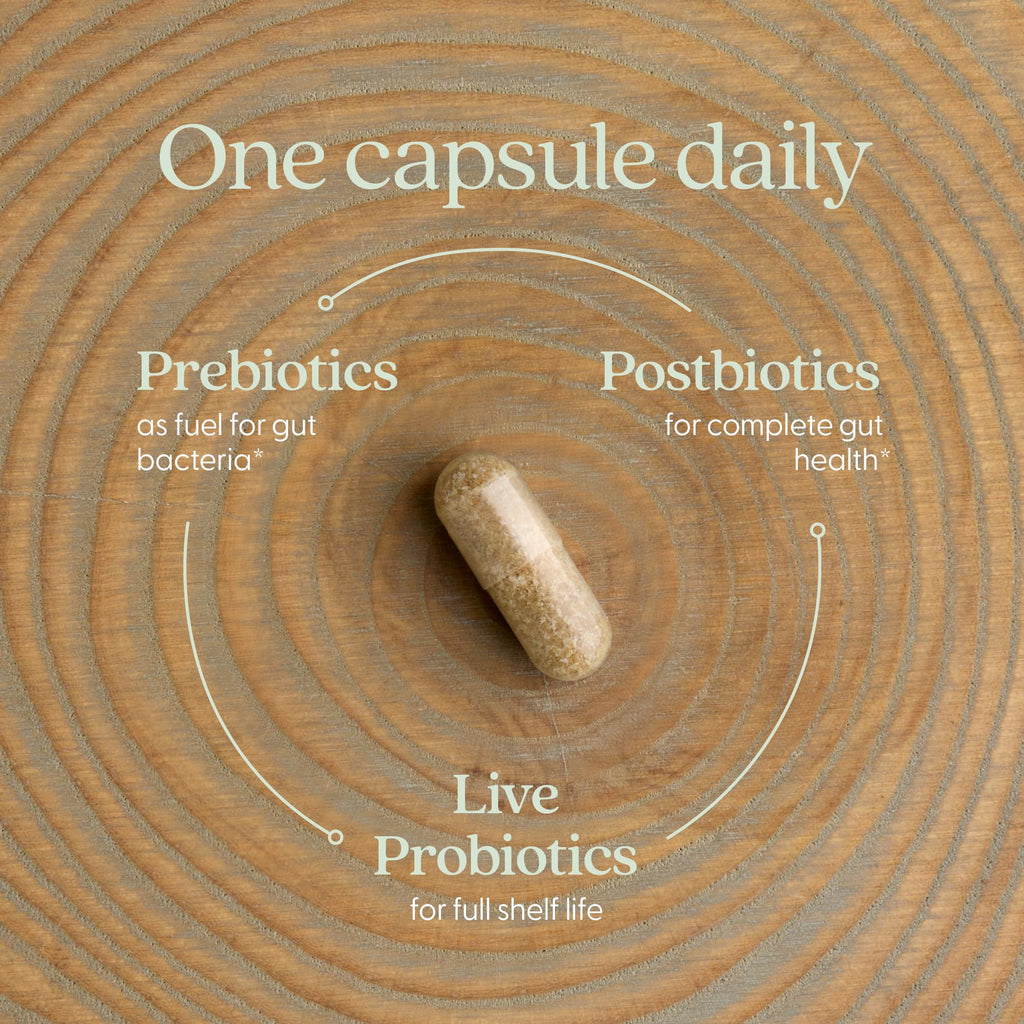 New Chapter All-Flora Probiotic for Advanced Digestion & Complete Gut Health with Prebiotics + Postbiotics, Clinical-Strength Strains, 100% Vegetarian, Non-GMO, Shelf Stable - 60 ct (2 Month Supply) New Chapter Au supplements