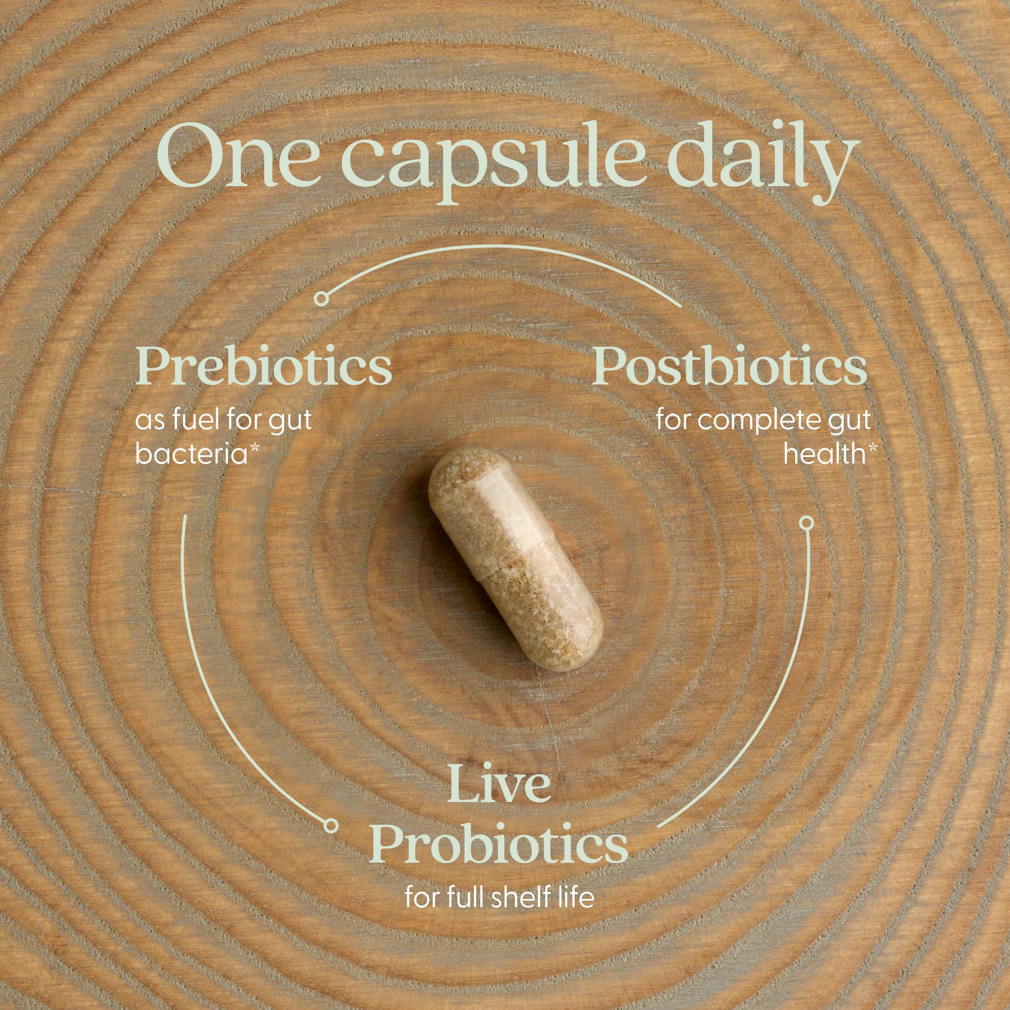 New Chapter All-Flora Probiotic for Advanced Digestion & Complete Gut Health with Prebiotics + Postbiotics, Clinical-Strength Strains, 100% Vegetarian, Non-GMO, Shelf Stable - 60 ct (2 Month Supply) New Chapter Au supplements