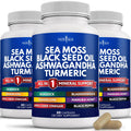 Silica Sea Moss 3000mg Black Seed Oil 2000mg Ashwagandha 1000mg Turmeric 1000mg NEW AGE Au supplements
