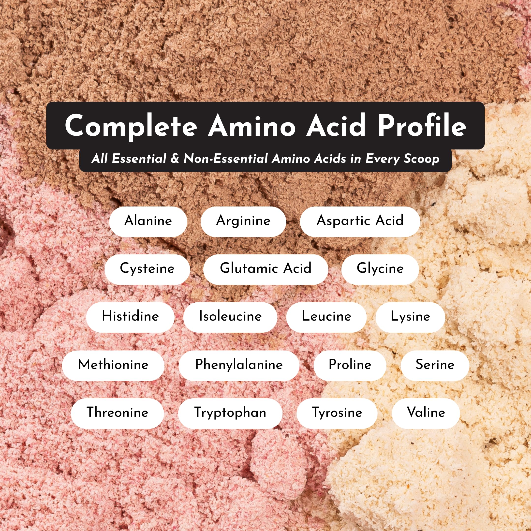 JUST INGREDIENTS Vanilla Protein Powder - Grass-Fed Whey Blend, Organic, Gluten Free, Dairy Free, Soy Free - 15 Servings, 22g Protein