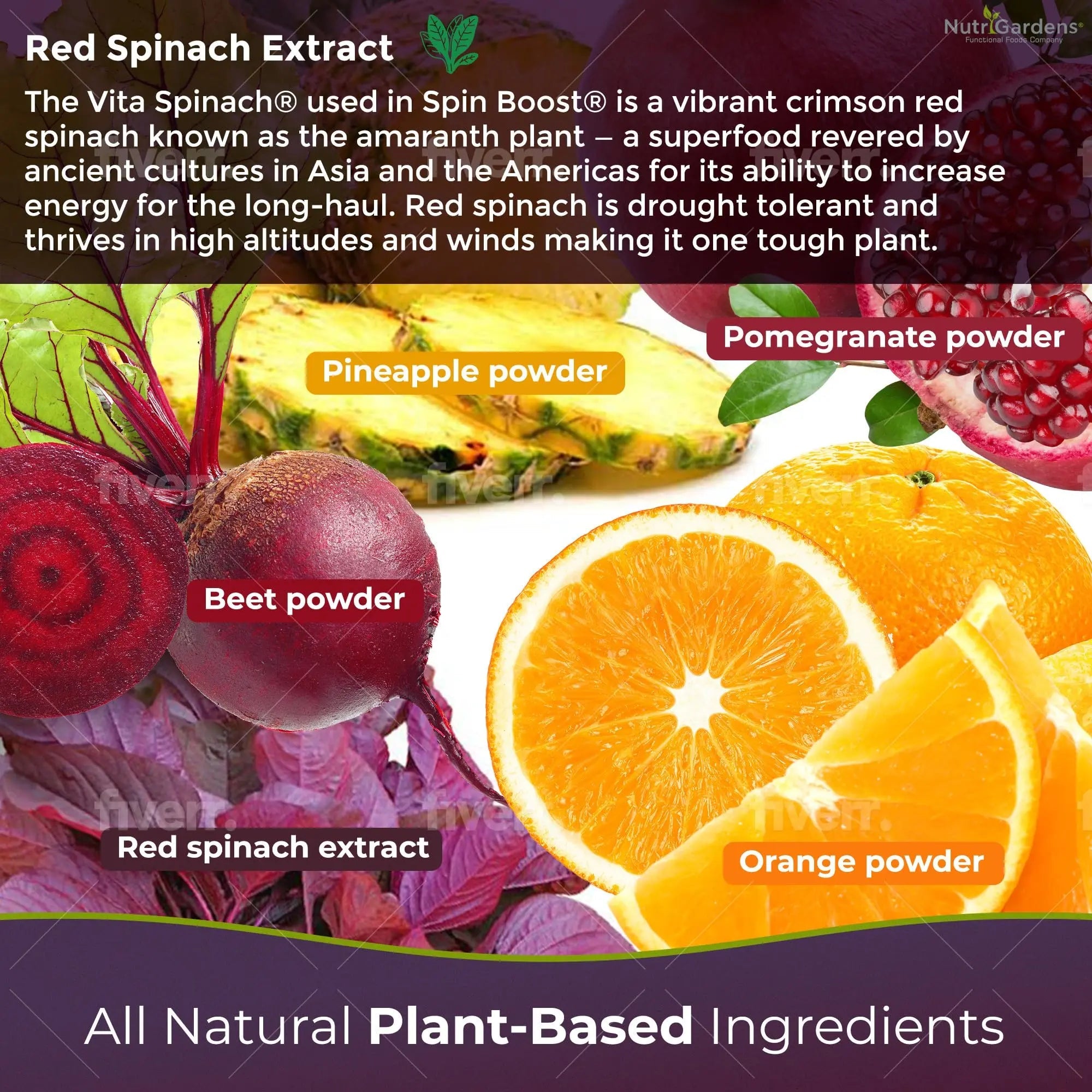 Nutrigardens Spin Boost Nitric Oxide Red Spinach Nitrate Pre-Workout Powder Concentrated Nutrigardens Au supplements