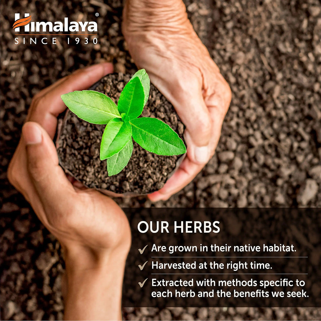 Himalaya Organic Gymnema Sylvestre for Glucose Metabolism, 700 mg Himalaya Au supplements