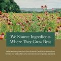 Gaia Herbs Ashwagandha Root - Stress Relief & Sleep Support Supplement - Supports Balanced Energy Levels & Positive Outlook