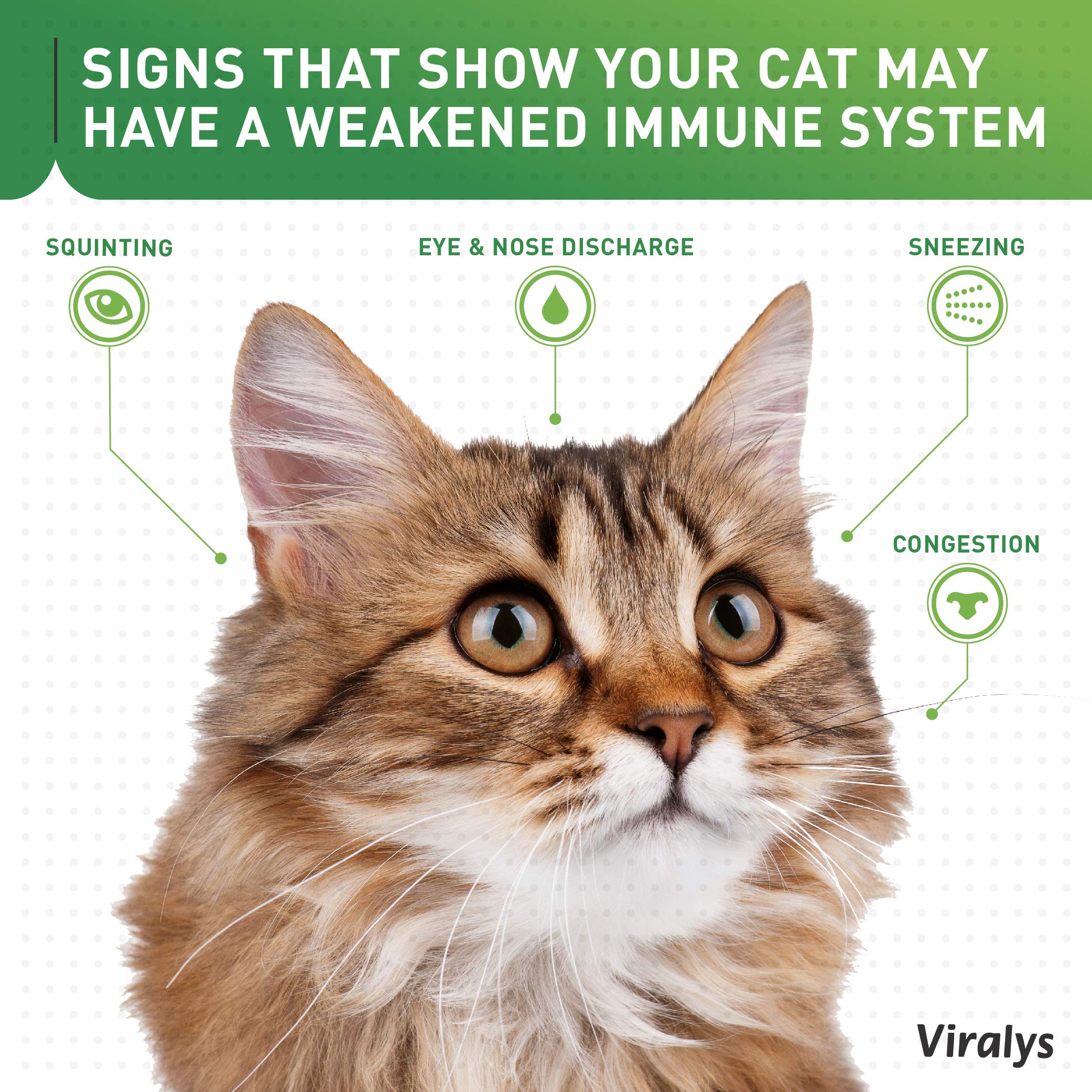 Vetoquinol Viralys Daily L-Lysine Powder for Cats and Kittens, Fish Flavored Lysine Supplement for Cats and Kittens to Support Immune Health