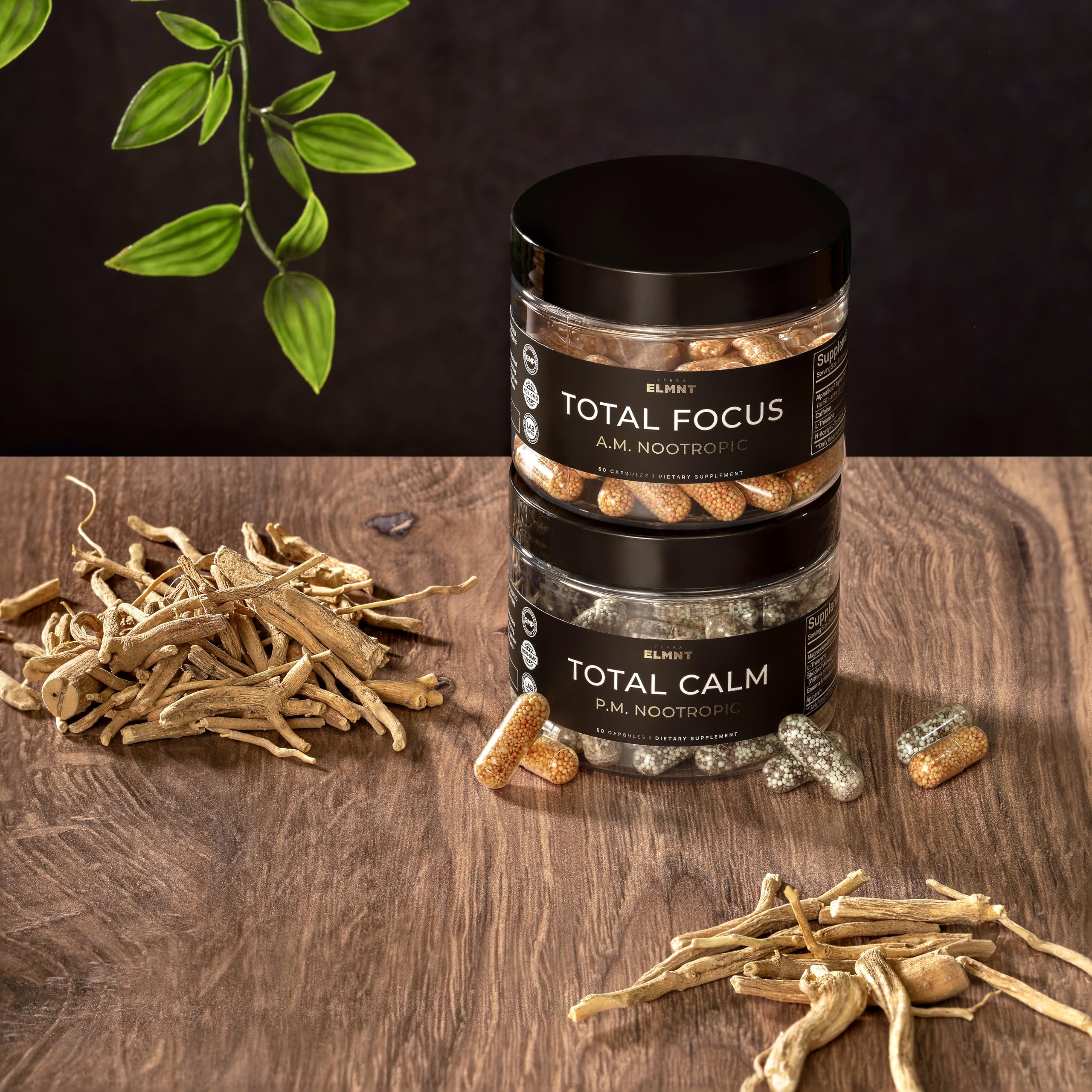 AMPM Nootropic Total Focus + Calm 9X Strength w. Caffeine, L-Theanine, Alpha GPC, L-Tyrosine, Ashwagandha - X-Release Energy Pills Nootropics Brain Support Supplements for Memory and Focus Supplement TERRA ELMNT Au supplements