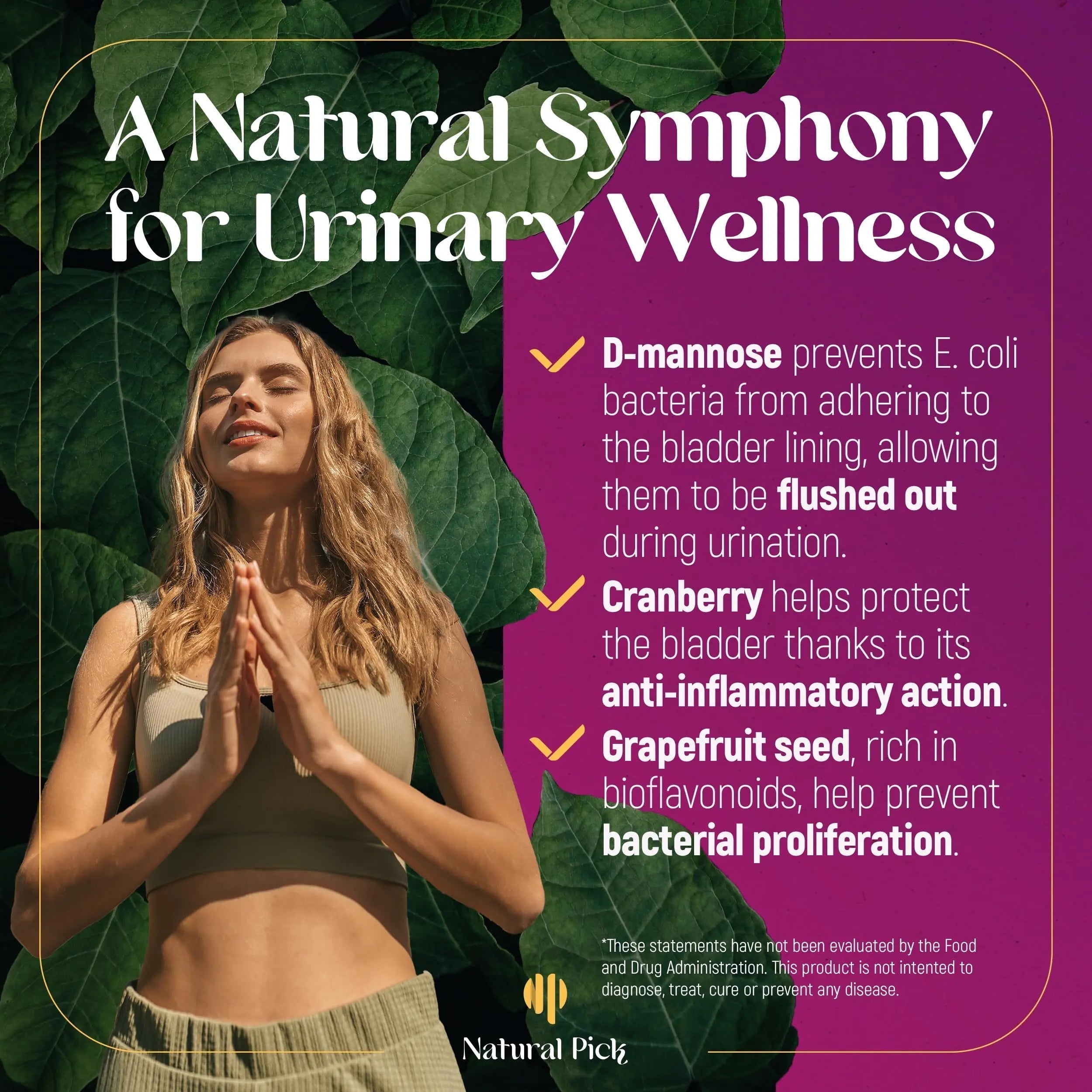 Natural Pick D-Mannose - Cranberry & Grapefruit – Cranberry Pills, UTI Treatment and Fast Relief for Women | Urinary Tract & Bladder Support. 90 Vegan Capsules, D mannose Supplements for Women Natural Pick Au supplements