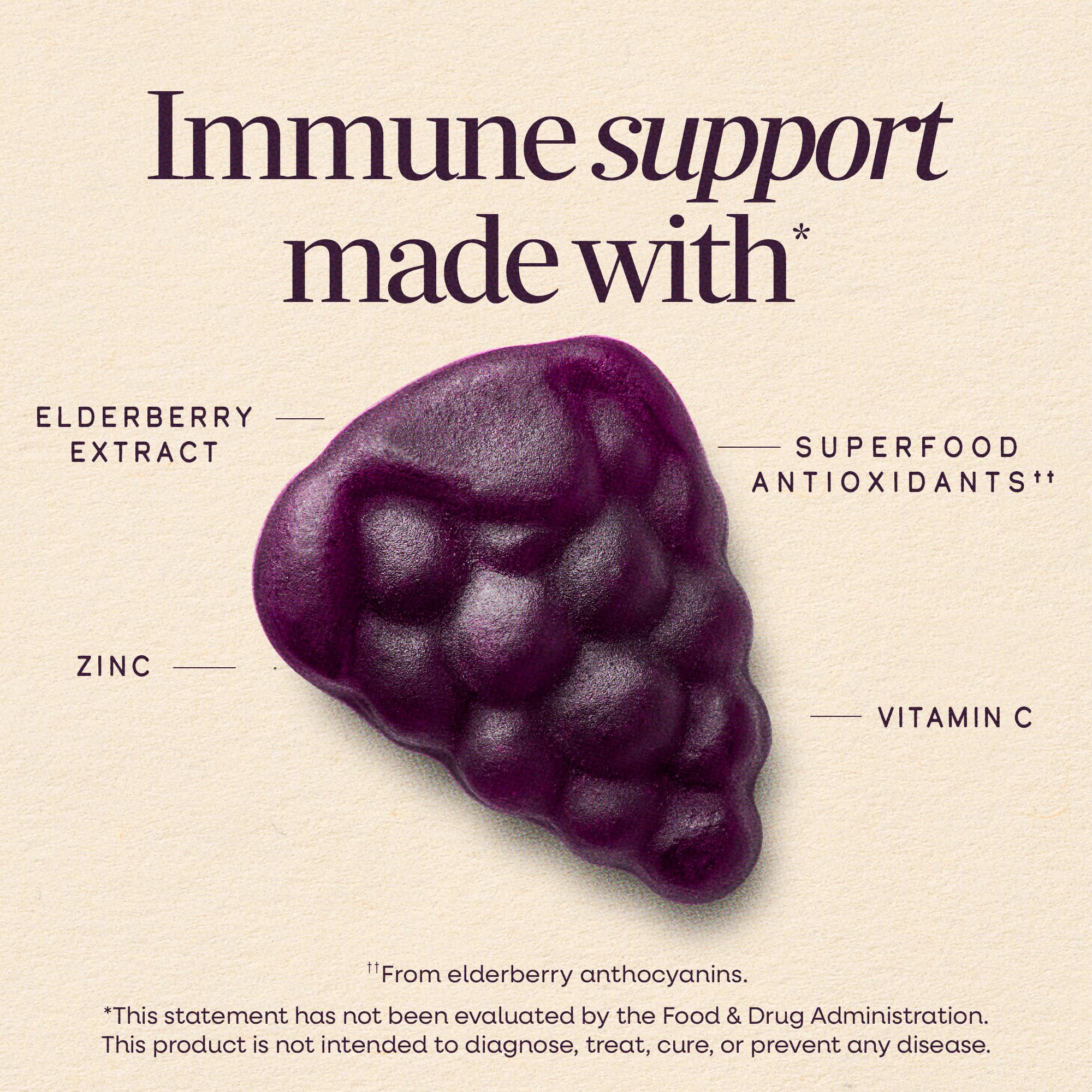 Nature’s Way Sambucus Kids Elderberry Immune Gummies with Black Elderberry Extract, Daily Immune Support Gummy with Vitamin C and Zinc