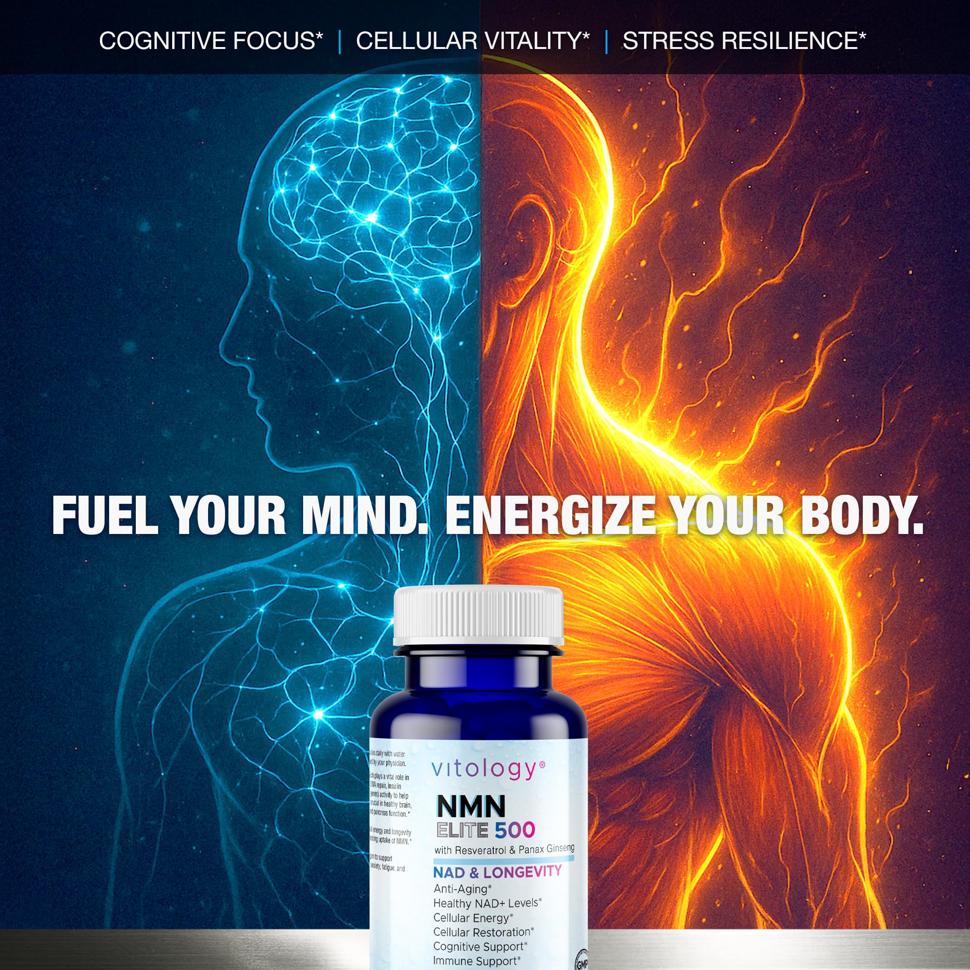 Vitology NMN Elite 500 – NMN 500mg, Resveratrol 200mg, Panax Ginseng 300mg – NAD+ Cellular Energy & Longevity Support Supplement – Focus, Vitality & Anti-Aging Formula – Non-GMO, Vegan Capsules Vitology Au supplements