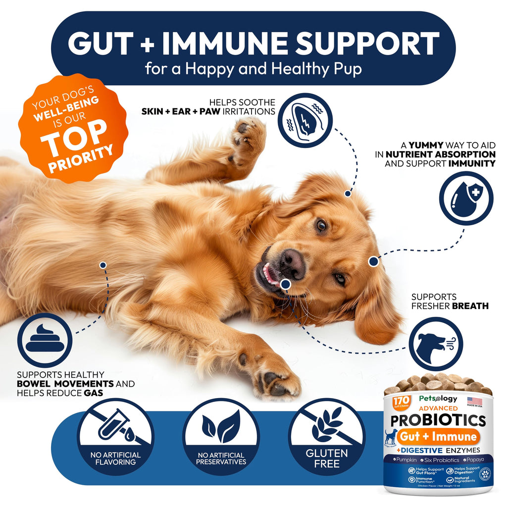Probiotics for Dogs - 170 Dog Probiotics Chews - Digestive Enzymes & Prebiotics - Support Gut Health, Diarrhea, Gas & Constipation Relief - Itchy Skin, Allergies, Yeast Balance - Advanced Supplement Petsology Au supplements
