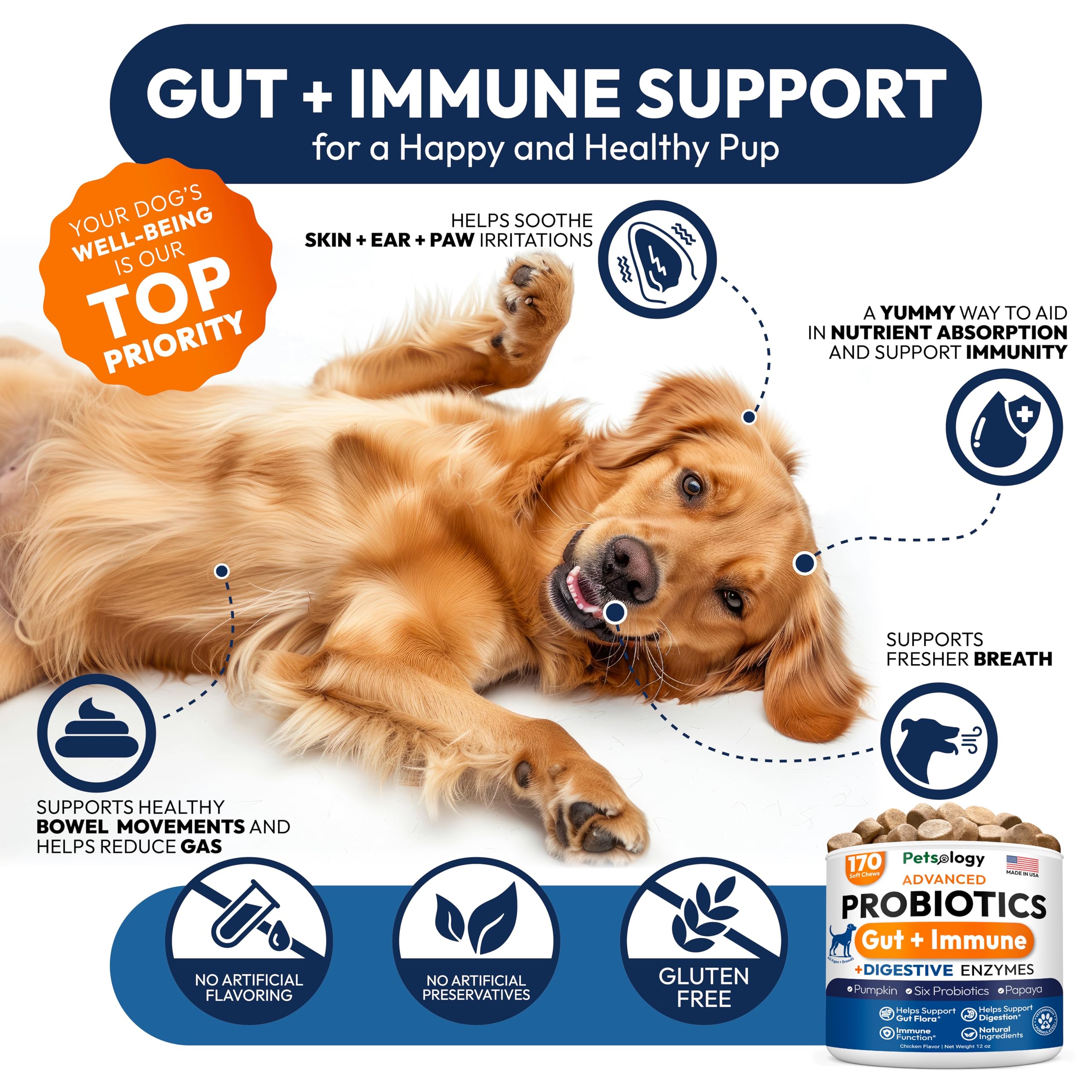 Probiotics for Dogs - 170 Dog Probiotics Chews - Digestive Enzymes & Prebiotics - Support Gut Health, Diarrhea, Gas & Constipation Relief - Itchy Skin, Allergies, Yeast Balance - Advanced Supplement Petsology Au supplements