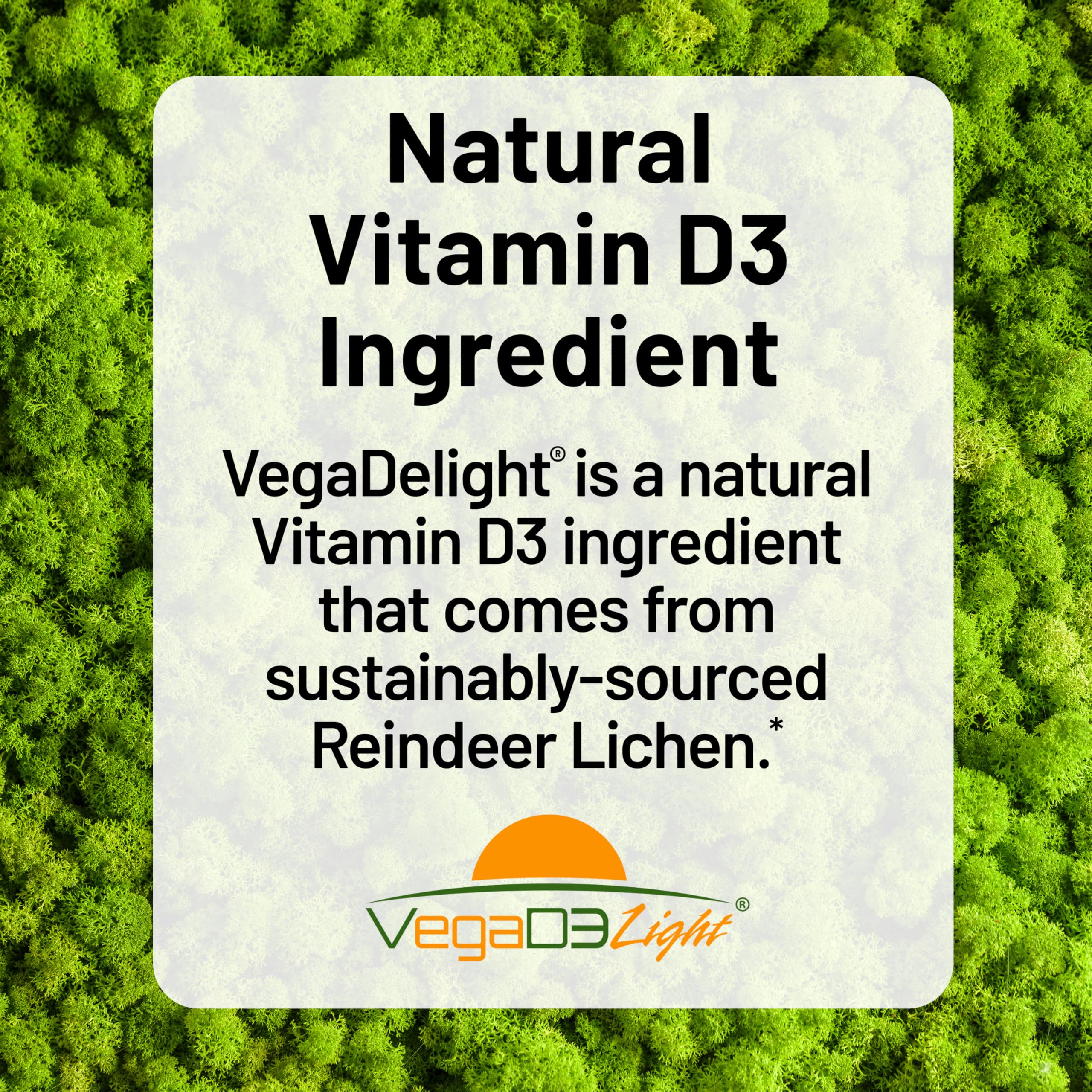 NatureWise Vegan Vitamin D3 + K2 - Natural D3 5000IU + Natural Vitamin K2 100mcg - Bone Support - High Absorption