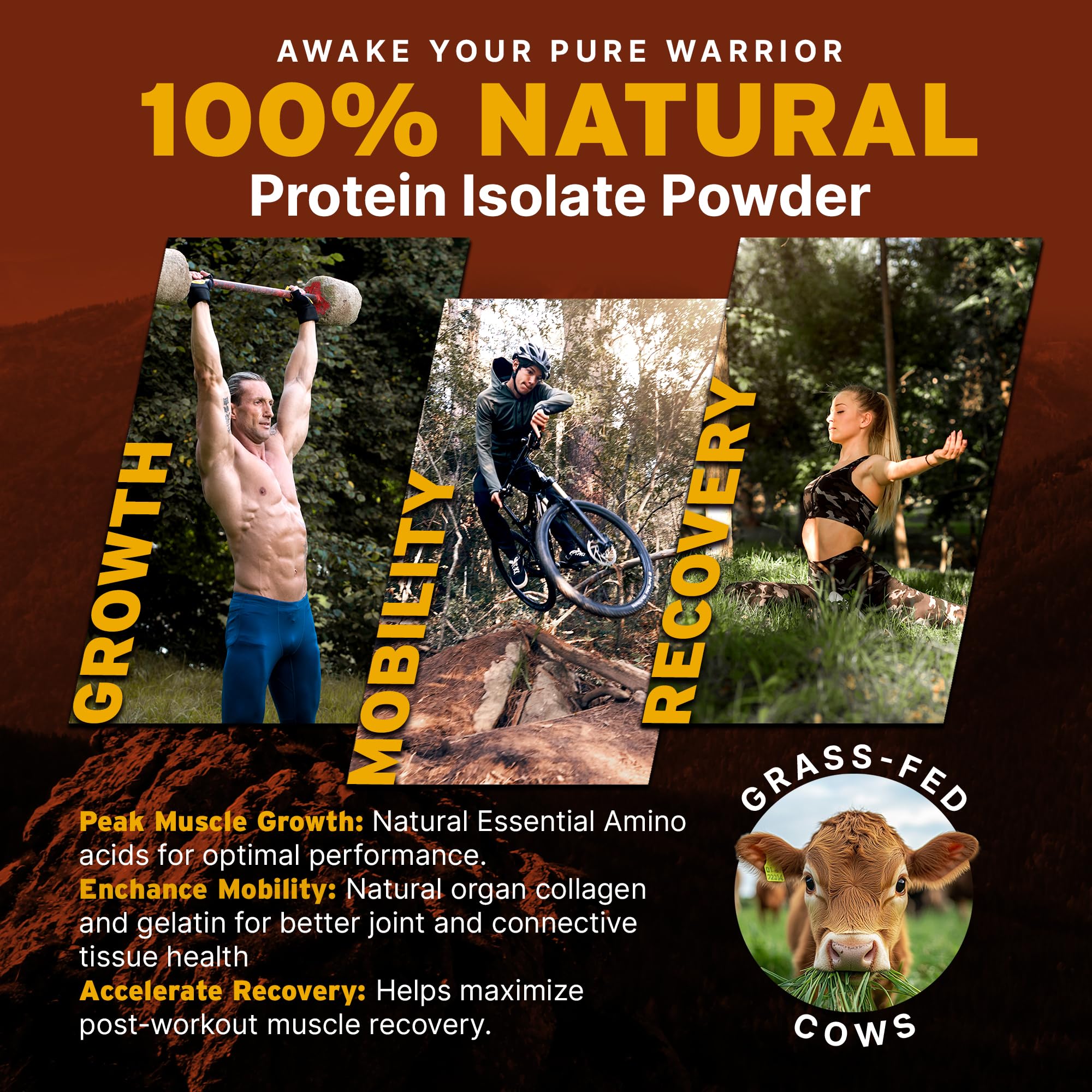 Paleo Pro 26G Beef Protein Powder - Grass Fed Protein Powder Isolate - Pure Animal Based Pastured & Cage-Free | Dairy & Gluten Free, Natural & Clean Proteins for Paleo & Keto - 15 Days Supply Vanilla
