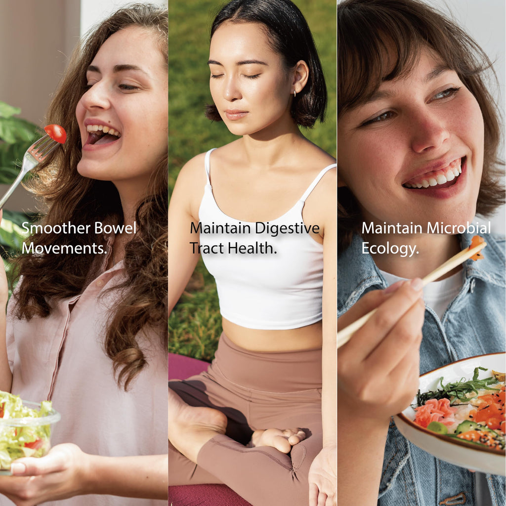 Fecula Biotech Synbiotic for Gut Health | 3-in-1 Daily Prebiotic, Probiotic, Postbiotic for Digestive Health, Bloat & Immune Support