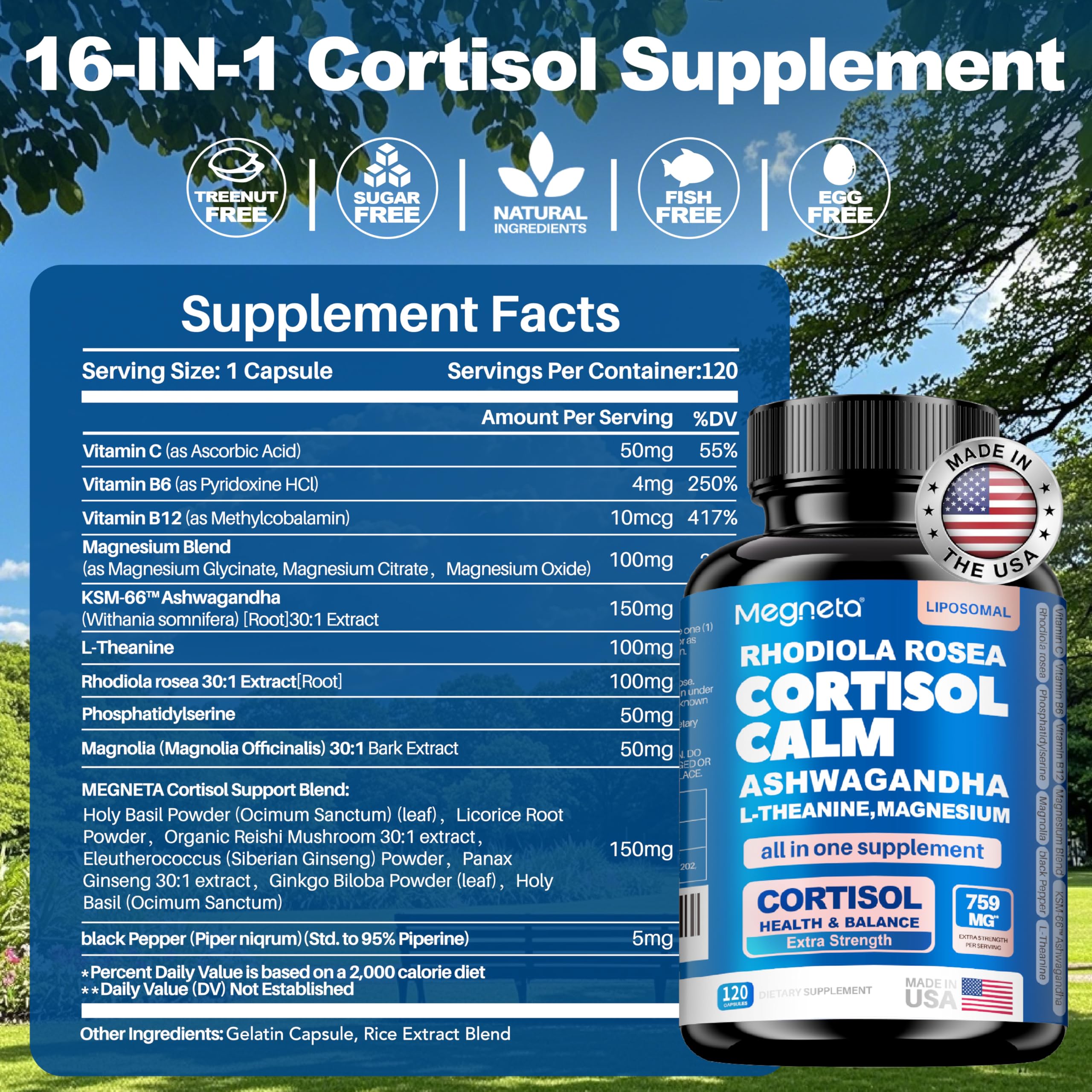 Cortisol Balance & Sleep Support for Women & Men – Natural Calm Formula with Magnesium, Ashwagandha & L-Theanine – Supports Restful Sleep, Relaxation, Focus & Healthy Cortisol Levels – 120 Capsules MEGNETA Au supplements
