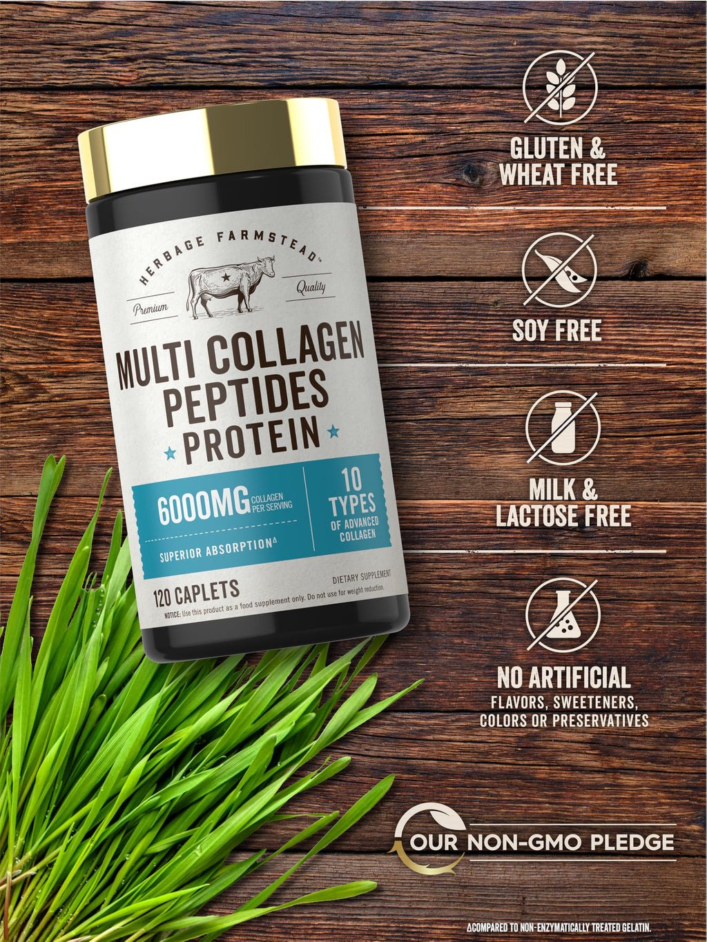 Carlyle Multi Collagen Peptides 6000mg | 120 Caplets | 10 Types of Advanced Collagen with Protein | Non-GMO, Gluten Free Supplement | by Herbage Farmstead