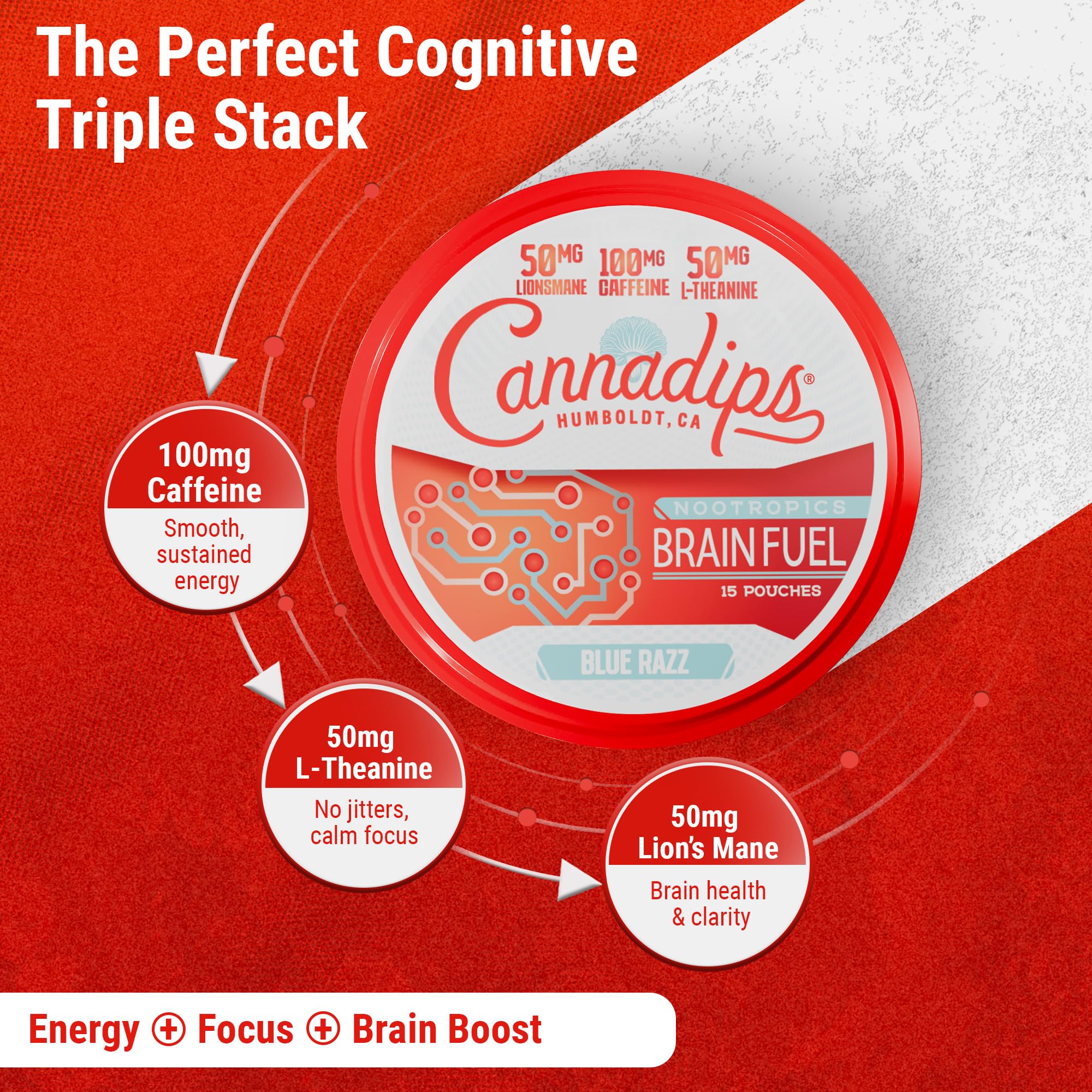 Cannadips - Brain Fuel Variety Pack - Nootropic Caffeine Pouches - 50mg Lion's Mane, 100mg Caffeine, 50mg L-Theanine, No Sugar - Clean Energy Brain Fuel for Cognitive Performance, Made in USA (5-PACK) Cannadips Au supplements