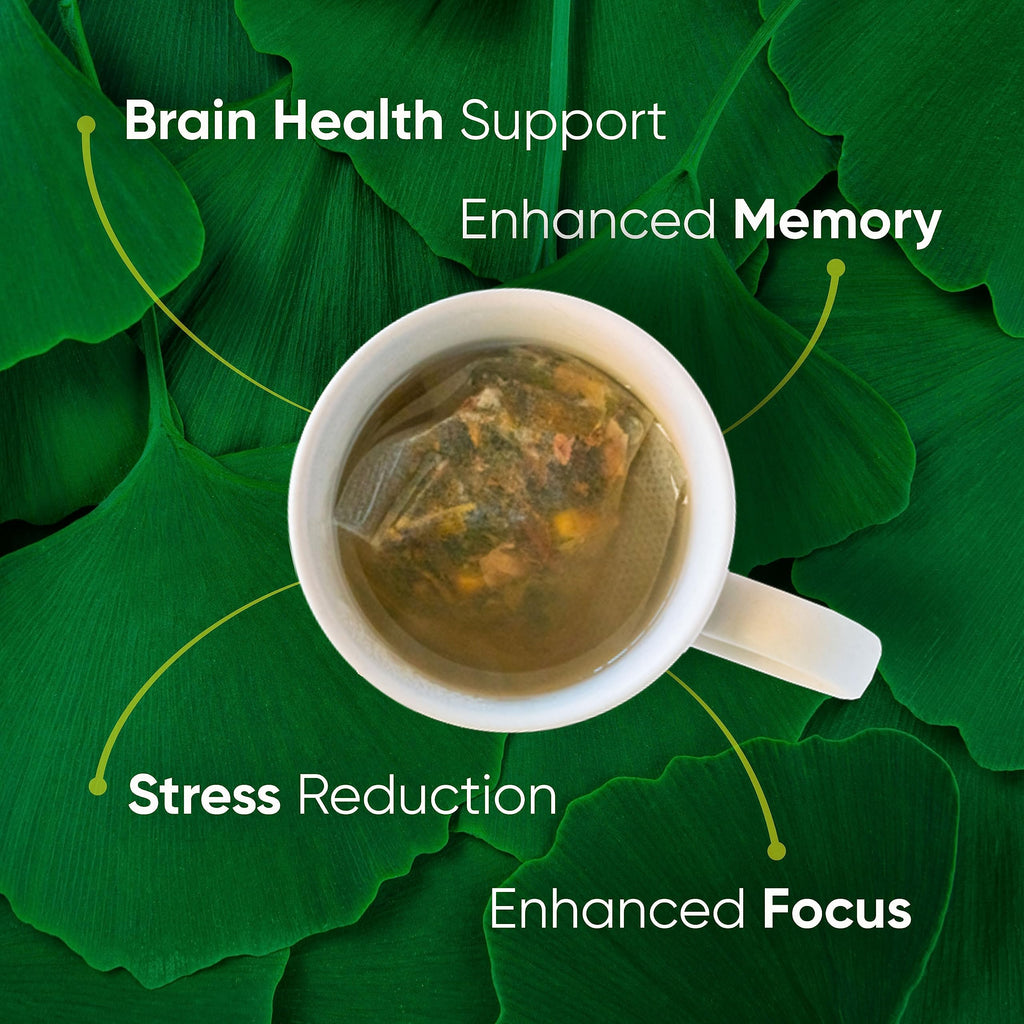 Brain Tea Focus & Memory - Brain Tea Organic Certified 4-in-1 Nootropic Herbal Supplement with Ginkgo Biloba, Gotu Kola, Lion’s Mane Mushroom, MCT Caffeine-Free for Mental Clarity (30 Sachets) Brain Tea Au supplements
