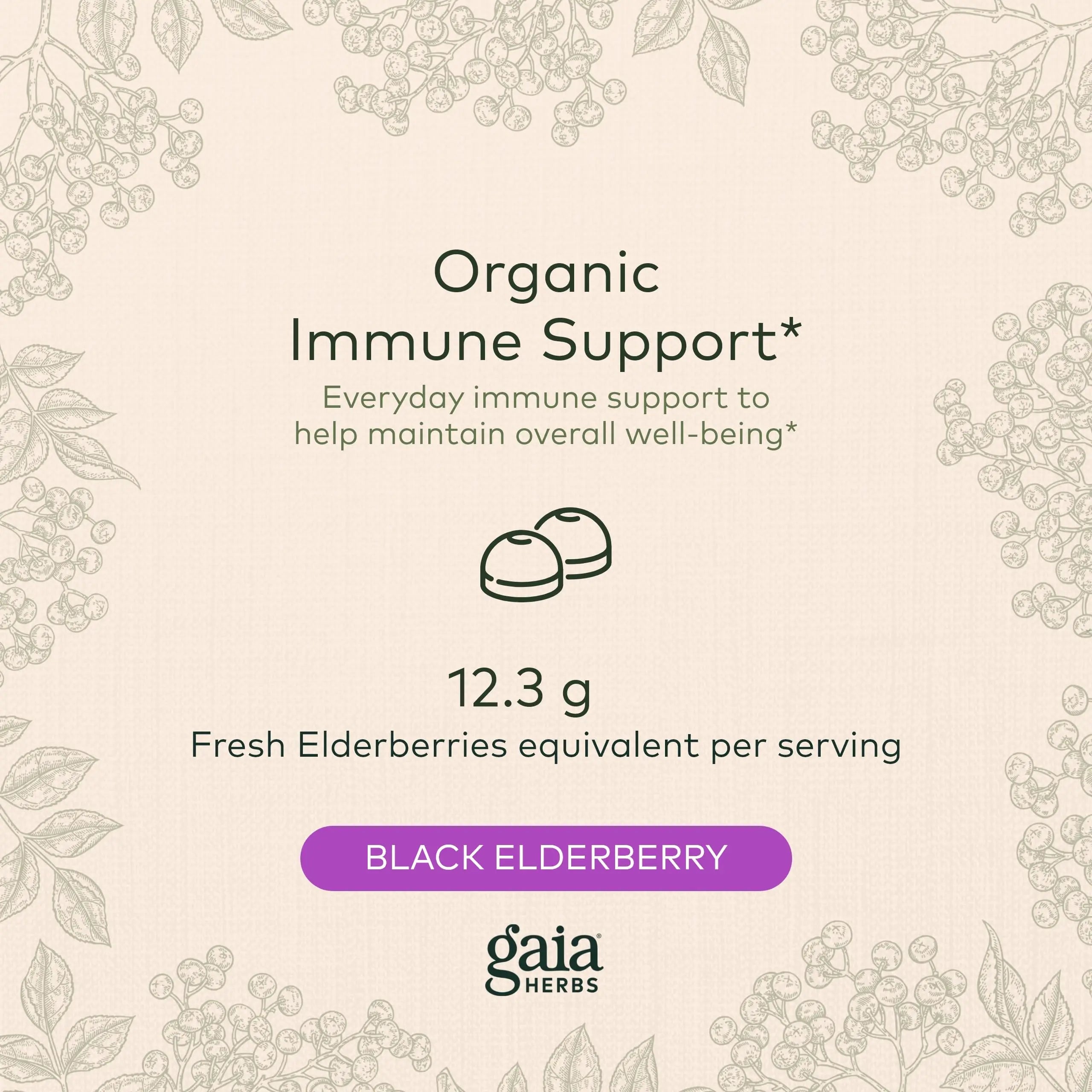 Gaia Herbs Black Elderberry (Sambucus Nigra) Extra Strength Gummies Gaia Herbs Au supplements