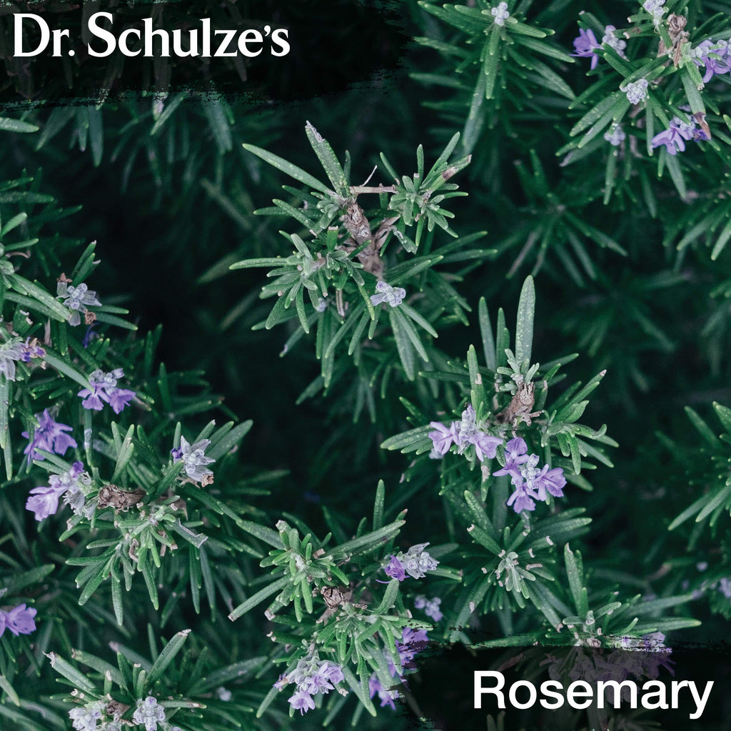 Dr. Schulze's Brain Formula 2 oz. - Vegan and Wild-Harvested | Stimulates Circulation and and Improved Mental Focus Dr. Schulze's Au supplements