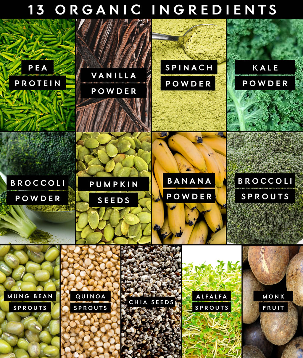 Truvani Protein + Greens Supplement | Spinach, Kale & Broccoli | 10g Organic Plant Based Protein | 20 Servings | USDA Organic | Gluten & Dairy Free