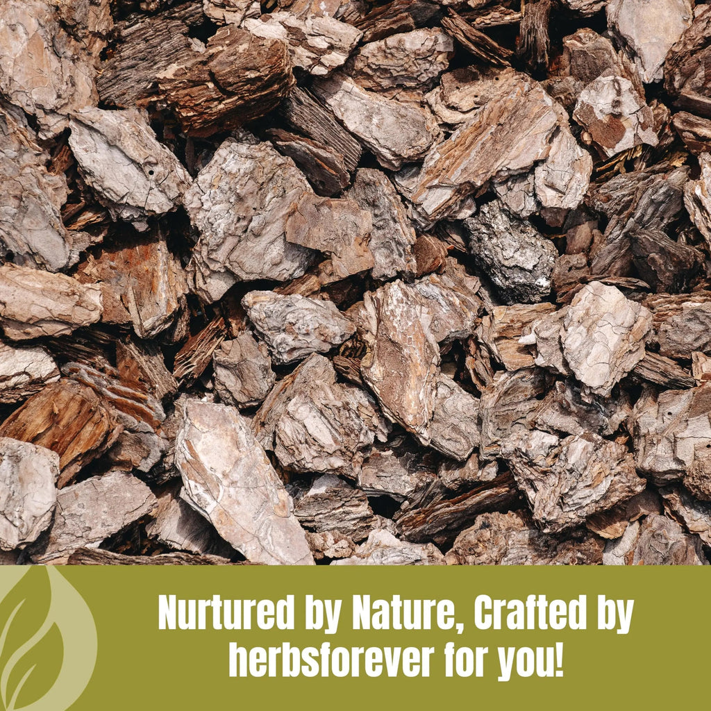 HerbsForever Varuna Powder – Crataeva Nurvala – Prostate Health – Support Prostatic, Kidneys, Gall Bladder and Urinary Tract Health – Non GMO, Organic, Vegan – 454 GMS Herbsforever Au supplements
