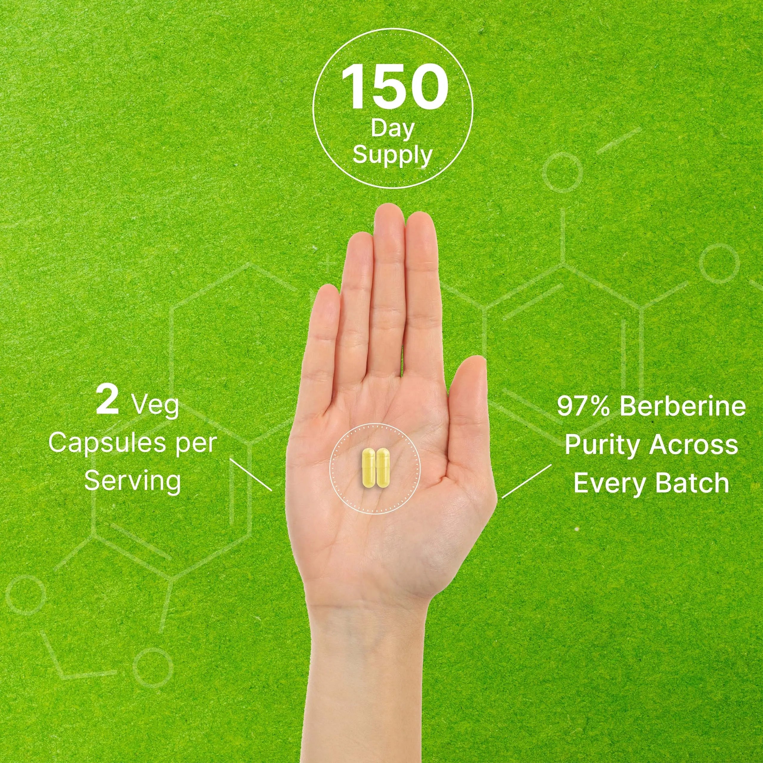 Berberine Supplement, 1,000mg Per Serving, 300 Veggie Capsules – 97% Pure Berberine DEAL SUPPLEMENT Au supplements