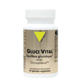 Gluci Vital équilibre glucidique avec Glucophénol 30 gélules VIT'ALL+ VIT'ALL+ Au supplements