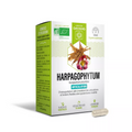 Organic Harpagophyton capsules - DAYANG