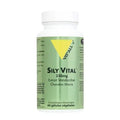 Sily Vital (Chardon marie) Extrait standardisé 250 mg 60 gélules VIT'ALL+ VIT'ALL+ Au supplements