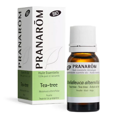 Huile essentielle Tea Tree BIO (Melaleuca alternifolia) 10 ml PRANAROM