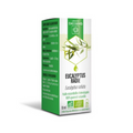 Eucalyptus Radiata Organic Essential Oil - DAYANG