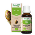 Tilleul BIO Macérat mère bourgeons Flacon 30 ml HERBALGEM