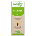 Peuplier BIO Macérat mère bourgeons Flacon 50 ml HERBALGEM