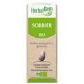 Sorbier BIO Macérat mère Flacon 30 ml HERBALGEM