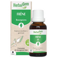 Frene BIO Macérat mère bourgeons Flacon 30 ml HERBALGEM
