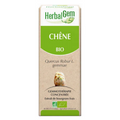 Chêne BIO Macerat mère bourgeons Flacon 30 ml HERBALGEM
