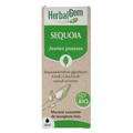 Sequoia BIO Macérat mère Flacon 30 ml HERBALGEM