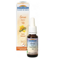 Fleur de Bach BIO Gorse (Ajonc) Flacon 20 ml BIOFLORAL