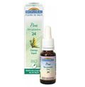 Fleur de Bach BIO Pine (Pin sylvestre) Flacon 20 ml BIOFLORAL