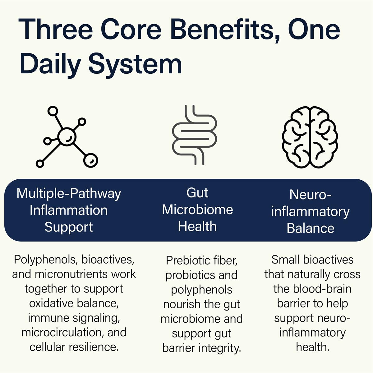 ACEND Advanced Inflammatory Support Powdered Drink Mix | Evidence-Based Polyphenols + Prebiotic Fiber + Probiotics | D3+K2, Minerals & Electrolytes | Non-GMO - TrustMedUSA