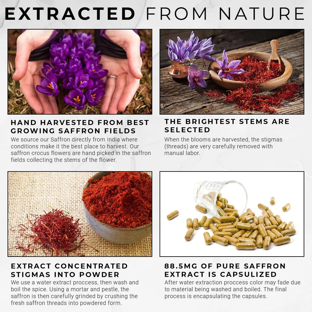 ACEWORKZ 100% Pure Saffron Extract - Appetite Suppressant for Weight Loss - Metabolis - TrustMedUSA