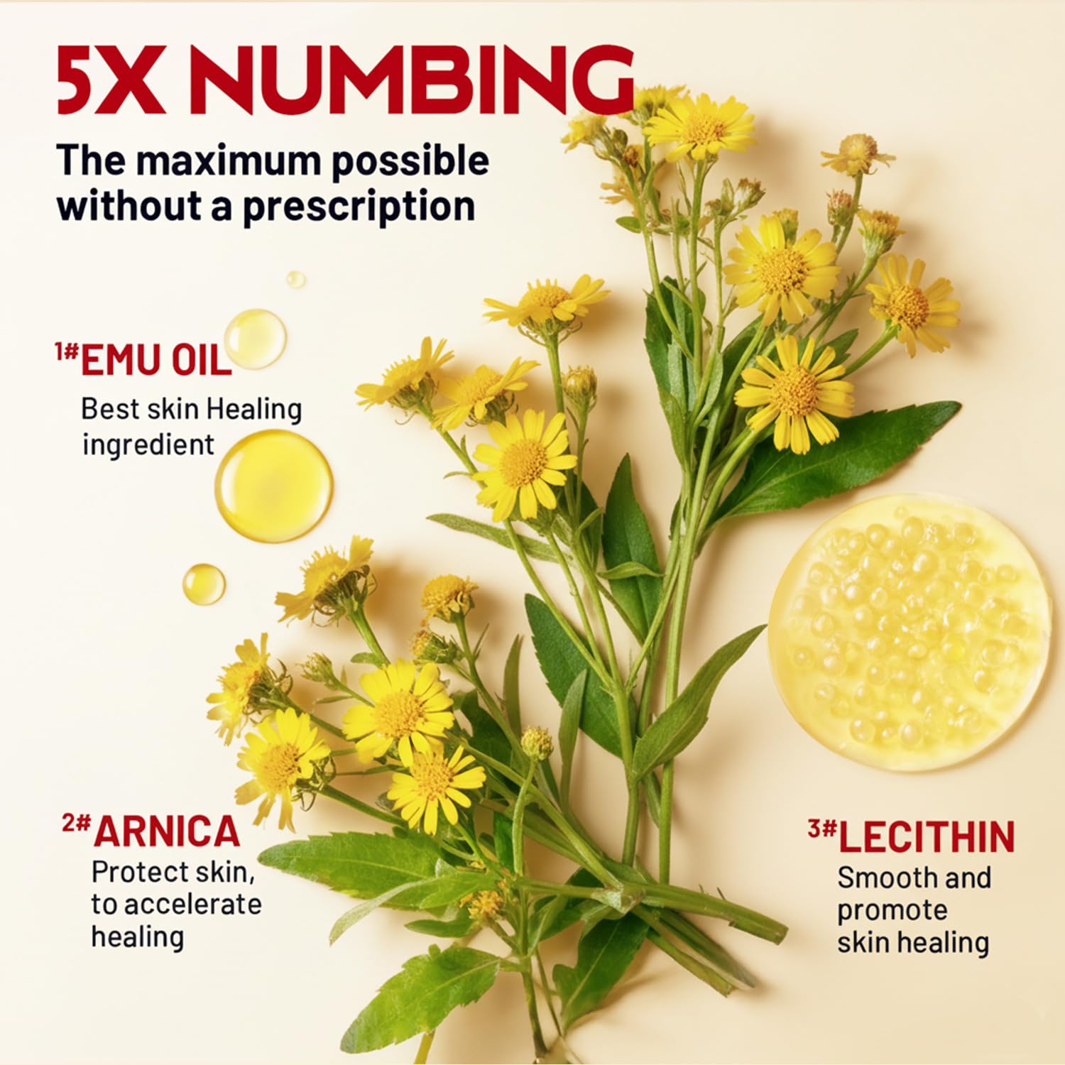 Acolye Numbing Cream Maximum Strength : 5% Lidocaine Topical Anesthetic - Extra Strength 5X Numbing with Menthol Arnica and Emu Oi (2 Fl Oz, Mint Flavor) - TrustMedUSA