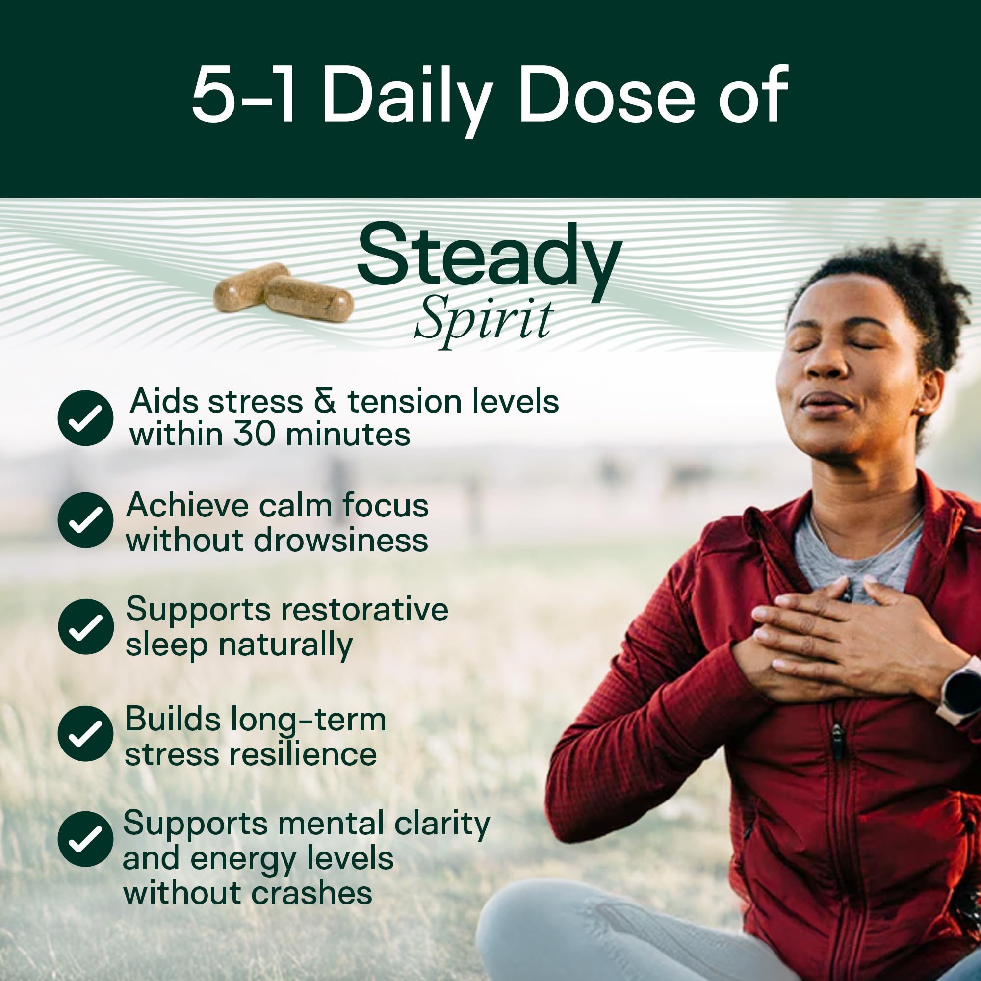 Adapt Naturals Steady Spirit Stress, Anxiety & Mood Support Supplement for Women and Men with Ashwagandha, L-Theanine, Holy Basil, Saffron, and Lemon Balm - Stress Relief Supplement - 30 Day Supply - TrustMedUSA