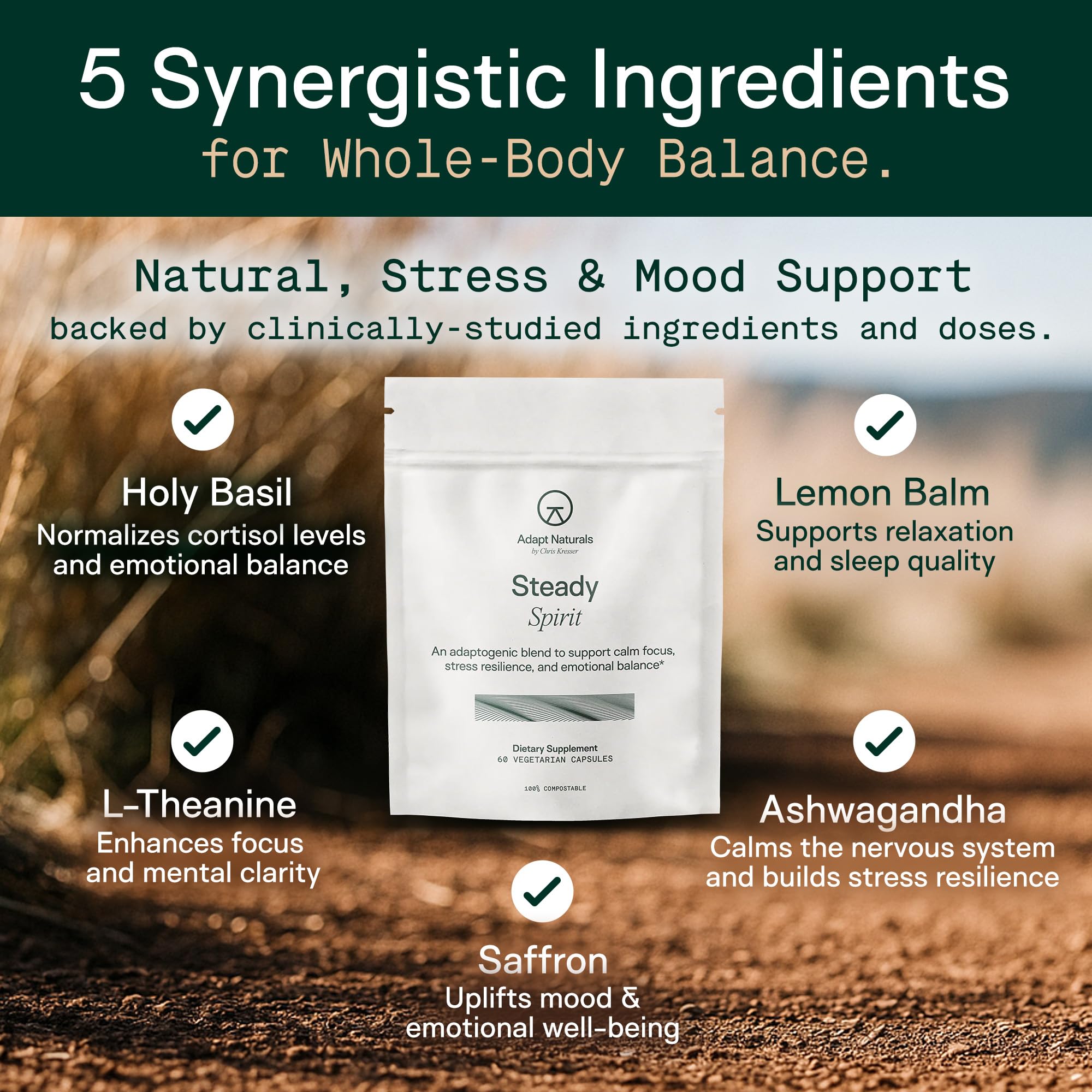 Adapt Naturals Steady Spirit Stress, Anxiety & Mood Support Supplement for Women and Men with Ashwagandha, L-Theanine, Holy Basil, Saffron, and Lemon Balm - Stress Relief Supplement - 30 Day Supply - TrustMedUSA