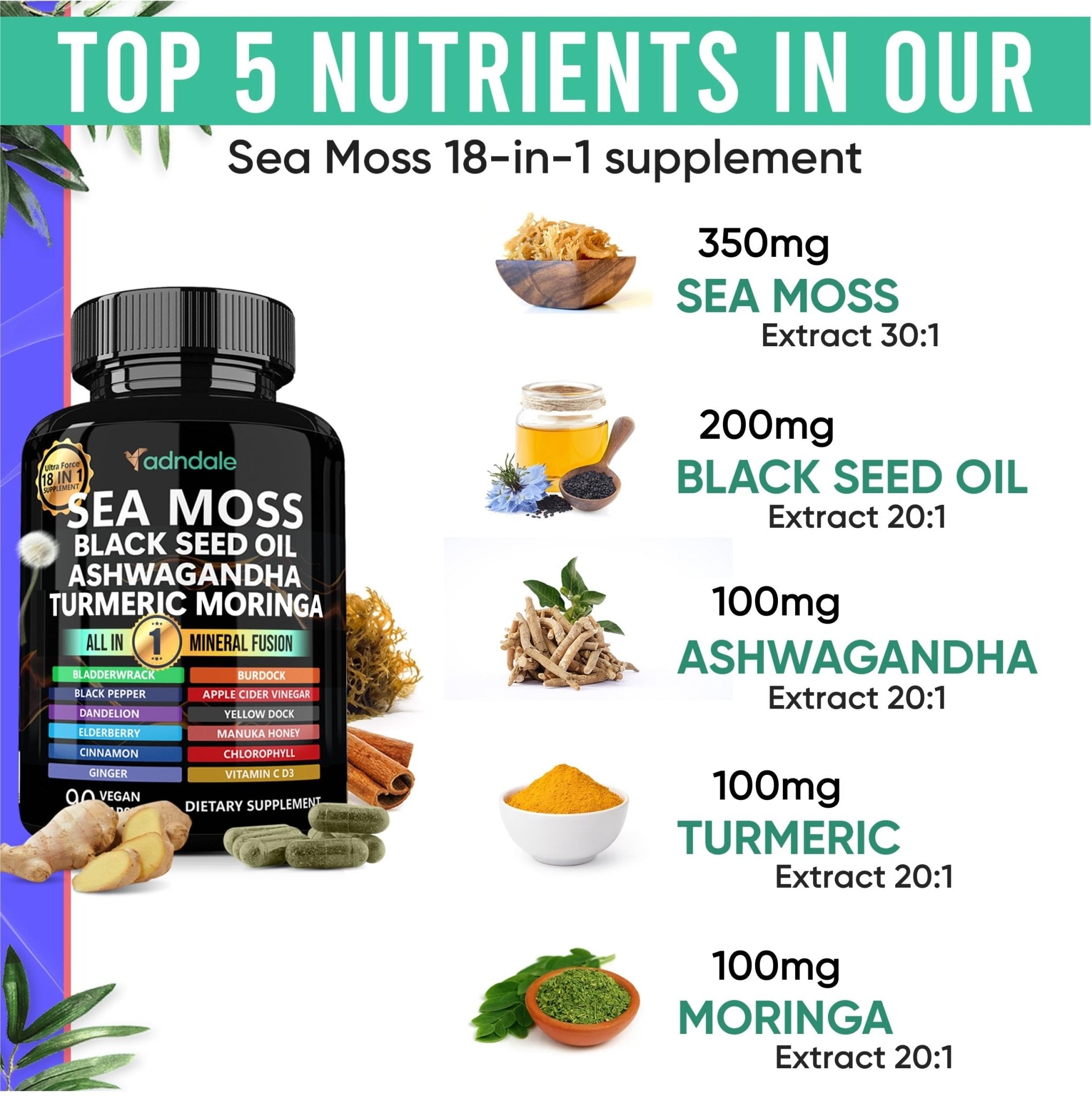 Adndale Sea Moss Capsules - Sea Moss Blend with Ashwagandha, Turmeric & Black Seed Oil - 180 Count - TrustMedUSA