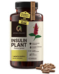 Afiyah Organic - Premium Quality Costus Igneus (Insulin Plant) Capsules - Easy to Swallow 120 Veggie Capsules (1 Month Supply) - Made in the USA - Including Complete Health Support Program - TrustMedUSA