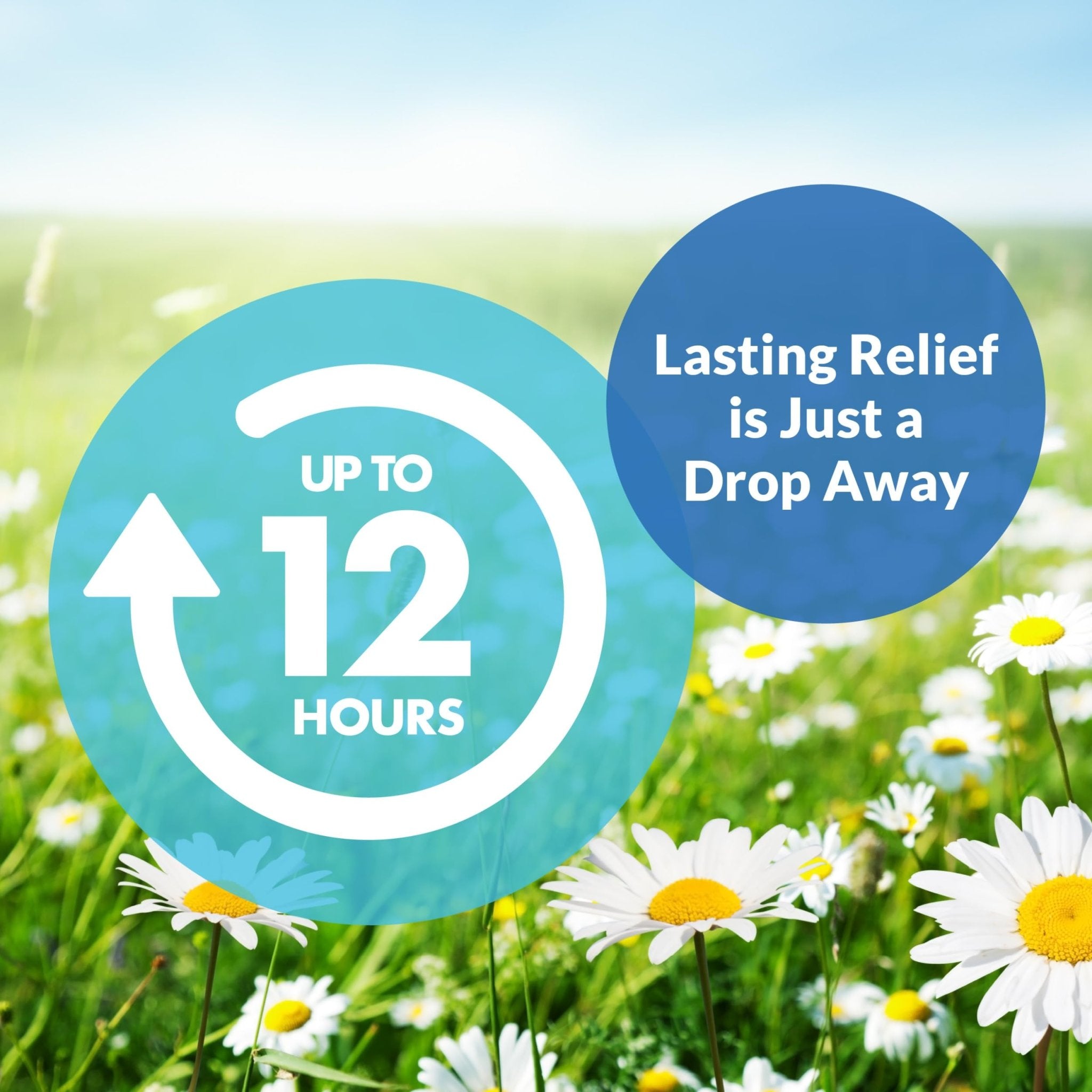 Alaway Antihistamine Eye Drops for Itchy Eyes, Fast-Acting, Up to 12-Hour Eye Itch Relief, Clinically Tested Prescription-Strength Formula, 0.34 Fl Oz - Maple Wellness Supplements